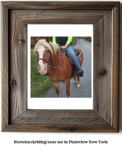 horseback riding near me in Plainview, New York